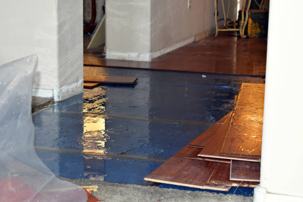 Professional Water Damage Restoration technician working in Frazee, MN